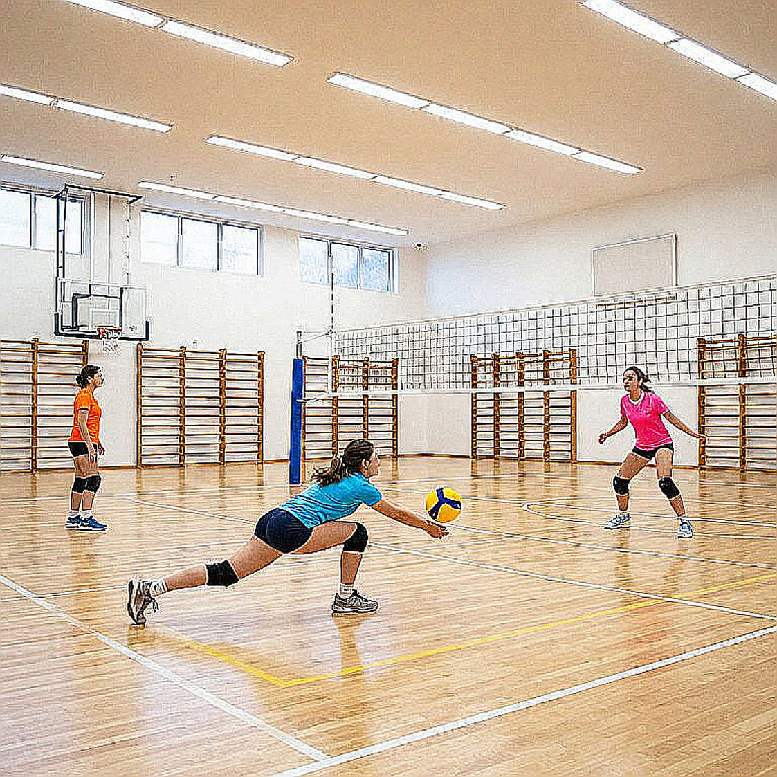 Bản phân tích bóng chuyền trả về số 0, và kỷ luật dữ liệu của người viết